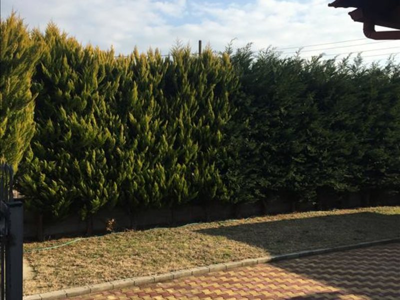 4 Bedroom Detached House in Kallikrateia RE0344 267293