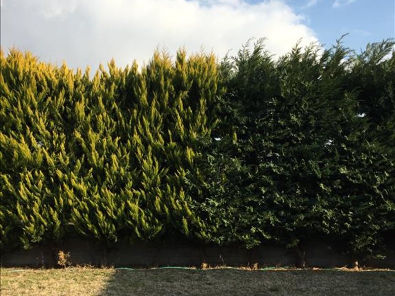 4 Bedroom Detached House in Kallikrateia RE0344 267325