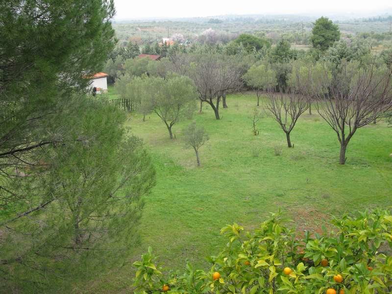 4 Bedroom Detached House in Nikiti RE0214 267349