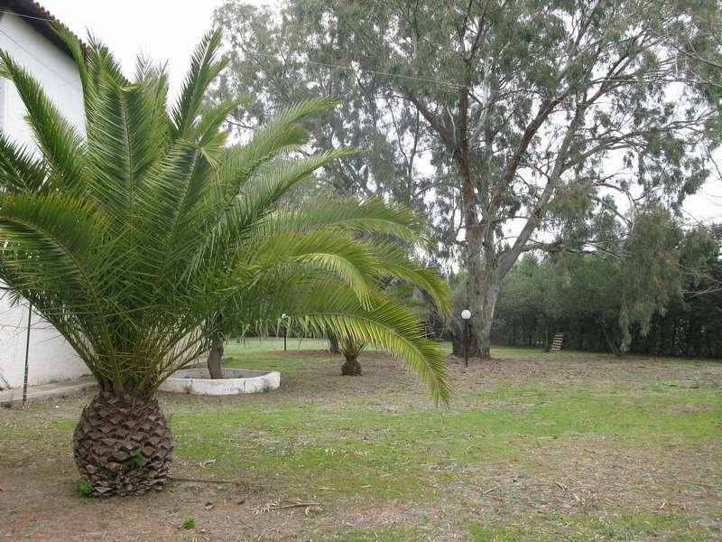 4 Bedroom Detached House in Nikiti RE0214 267364