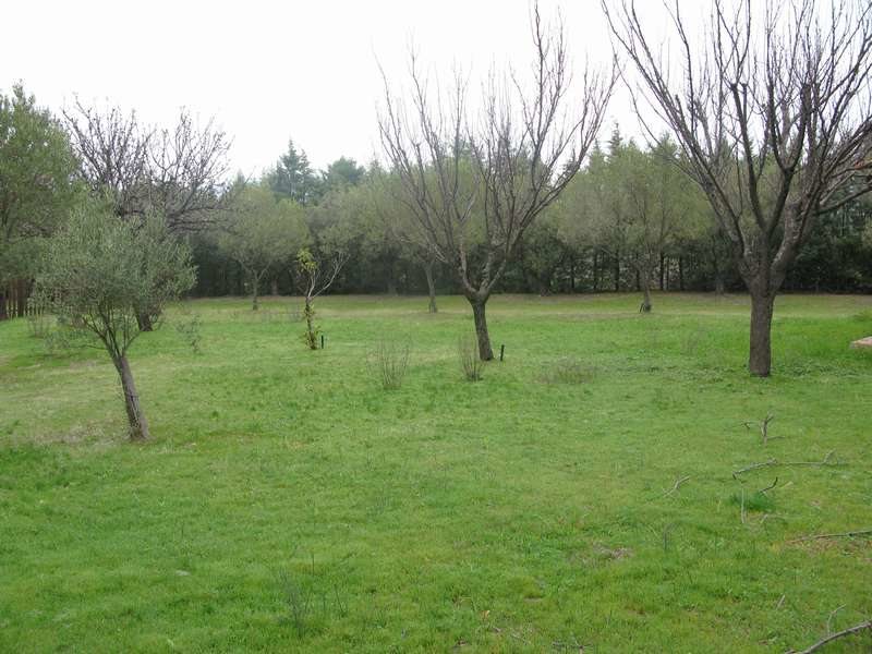 4 Bedroom Detached House in Nikiti RE0214 267368