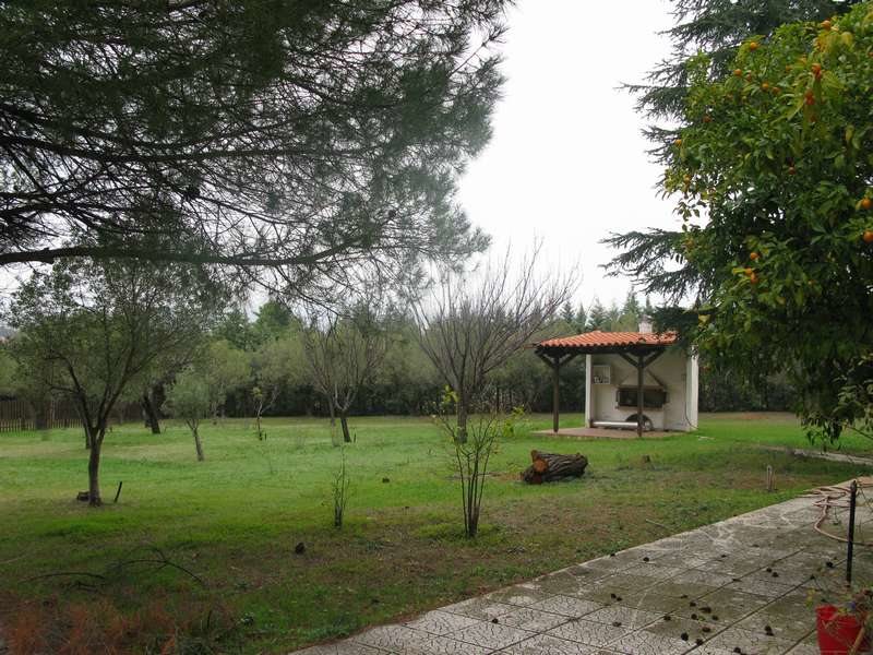 4 Bedroom Detached House in Nikiti RE0214 267371