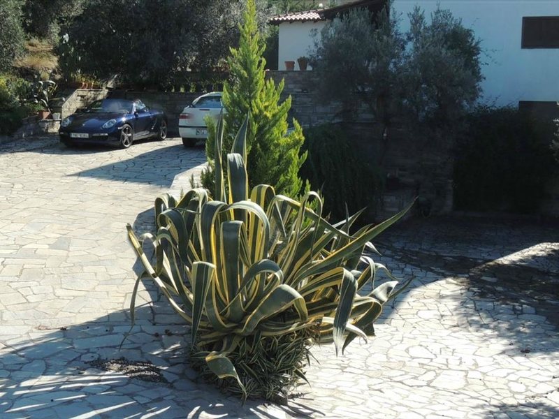 4 Bedroom Detached House in Porto Carras RE0490 267399