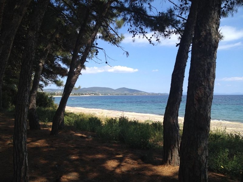 4 Bedroom Maisonette in Kalives RE0107 267432