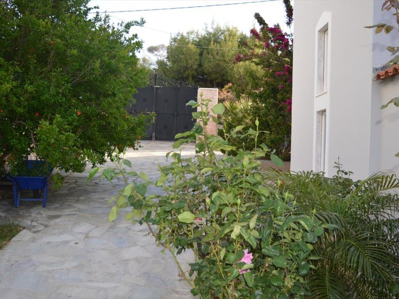 8 bedroom Villa in Anavyssos RE0843 Rent-Villa 256239