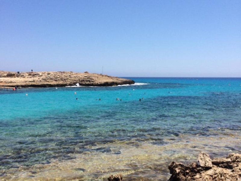 Abacus Suites  272448