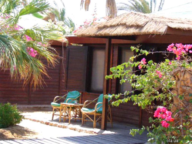 Abou Dabbab Diving Lodge   8875