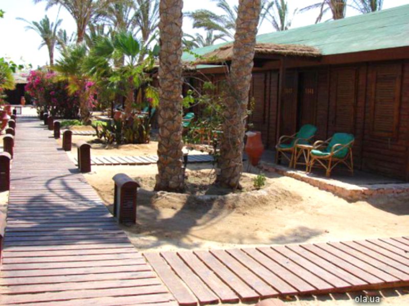 Abou Dabbab Diving Lodge   8881