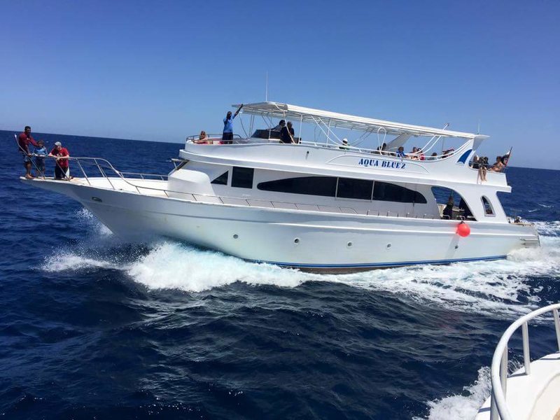 Abu Dabbab Diving Lodge 121076