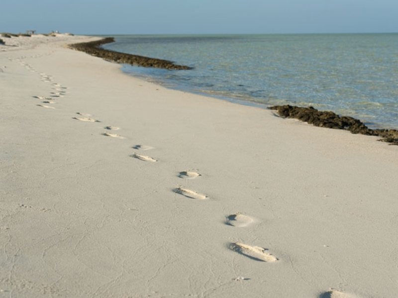 Abu Dabbab Diving Lodge 121078