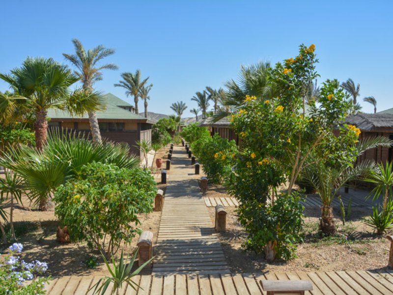 Abu Dabbab Diving Lodge 121085