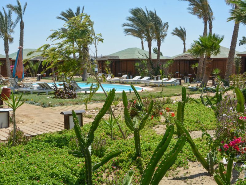 Abu Dabbab Diving Lodge 121090