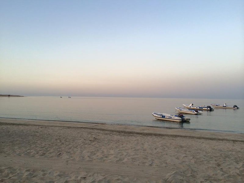 Abu Dabbab Diving Lodge 121095