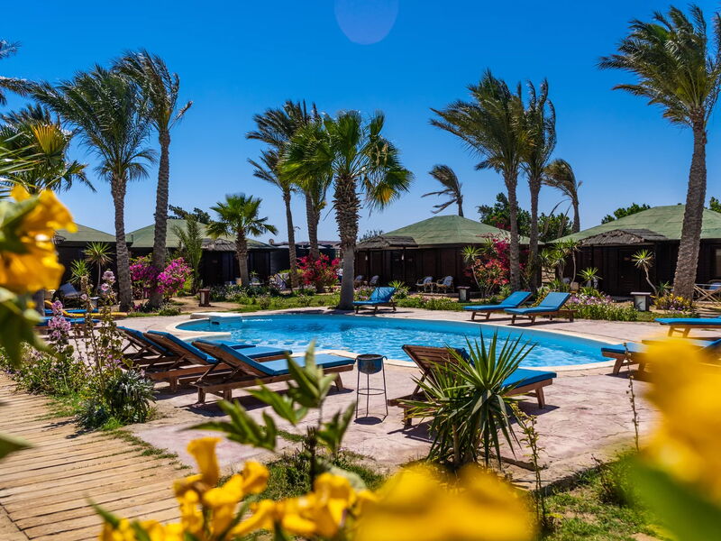 Abu Dabbab Lodge, Tapestry Collection by Hilton 326996