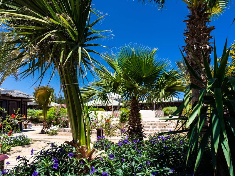 Abu Dabbab Lodge, Tapestry Collection by Hilton 327007