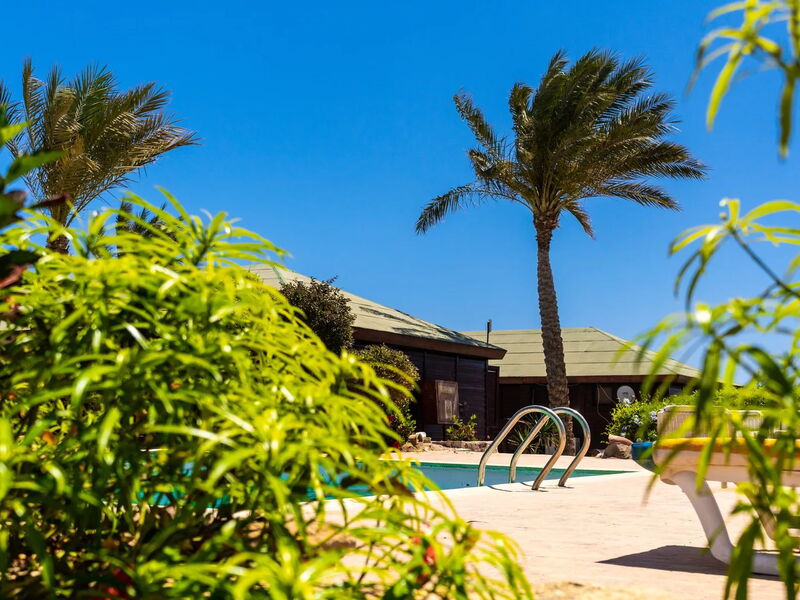 Abu Dabbab Lodge, Tapestry Collection by Hilton 327010