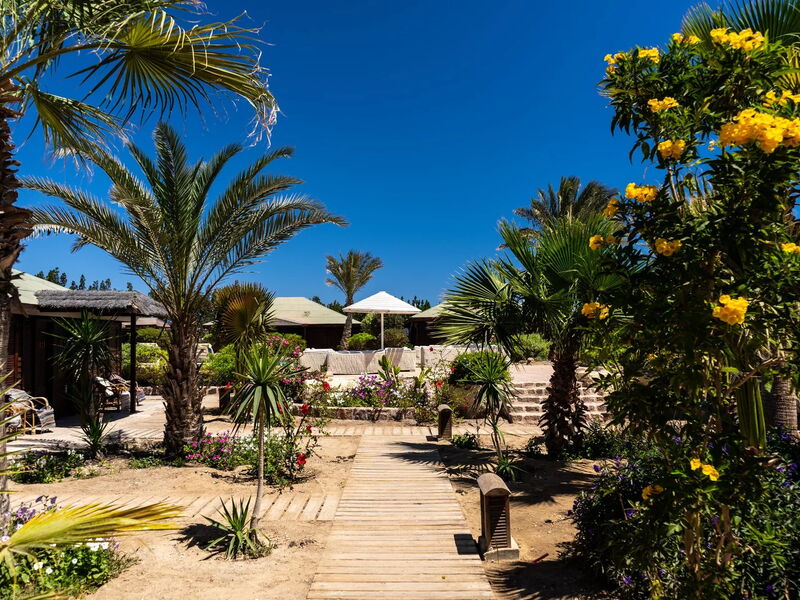 Abu Dabbab Lodge, Tapestry Collection by Hilton 327011