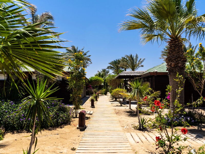 Abu Dabbab Lodge, Tapestry Collection by Hilton 327012