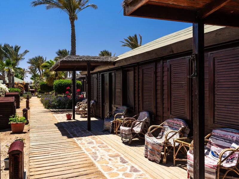 Abu Dabbab Lodge, Tapestry Collection by Hilton 327013