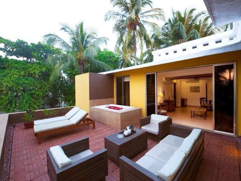 Adamo The Bellus 113272