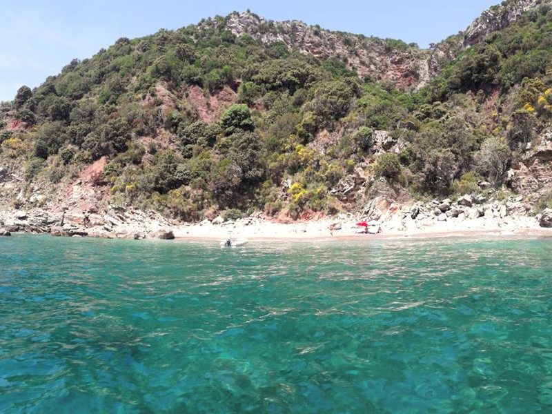 Adriatico apart-hotel  306954