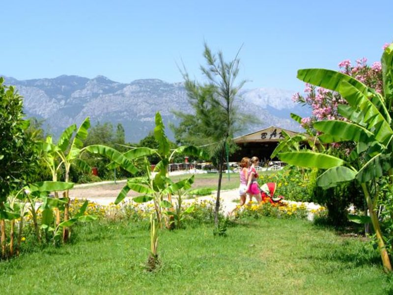 Afflon Kiris Fun  (ех 56419