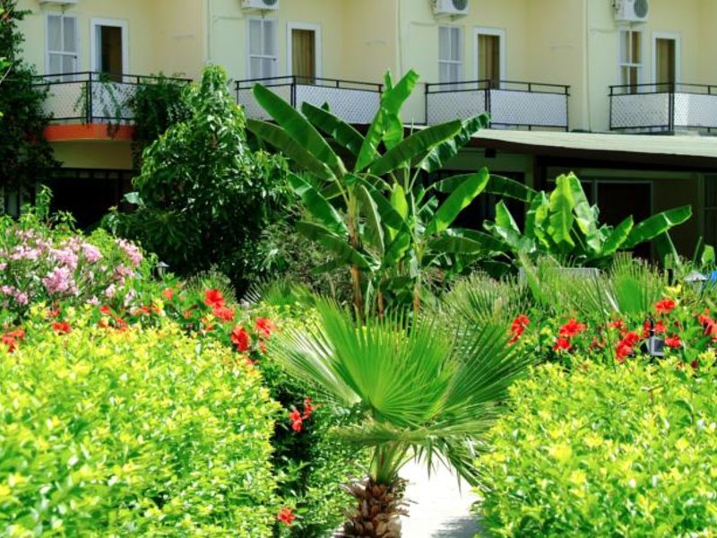 Afflon Kiris Fun  (ех 56421