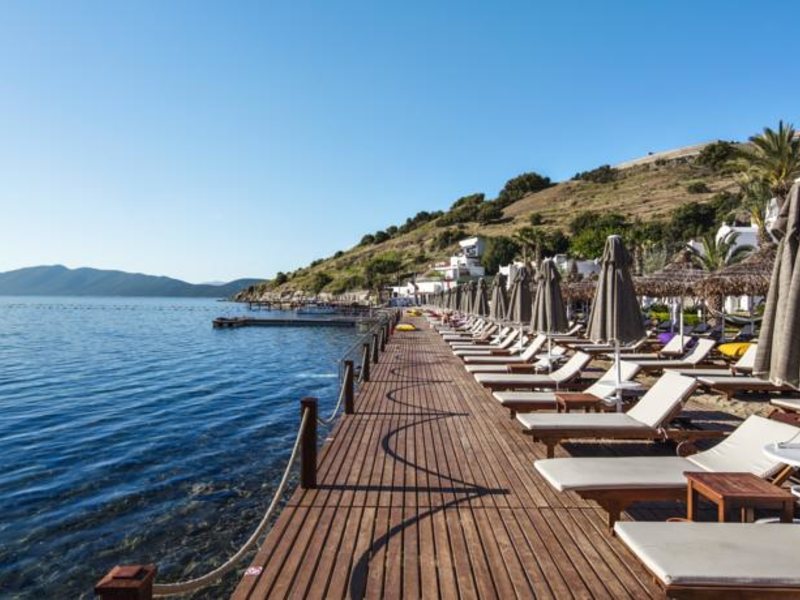 Agaya Bodrum (ex 105545