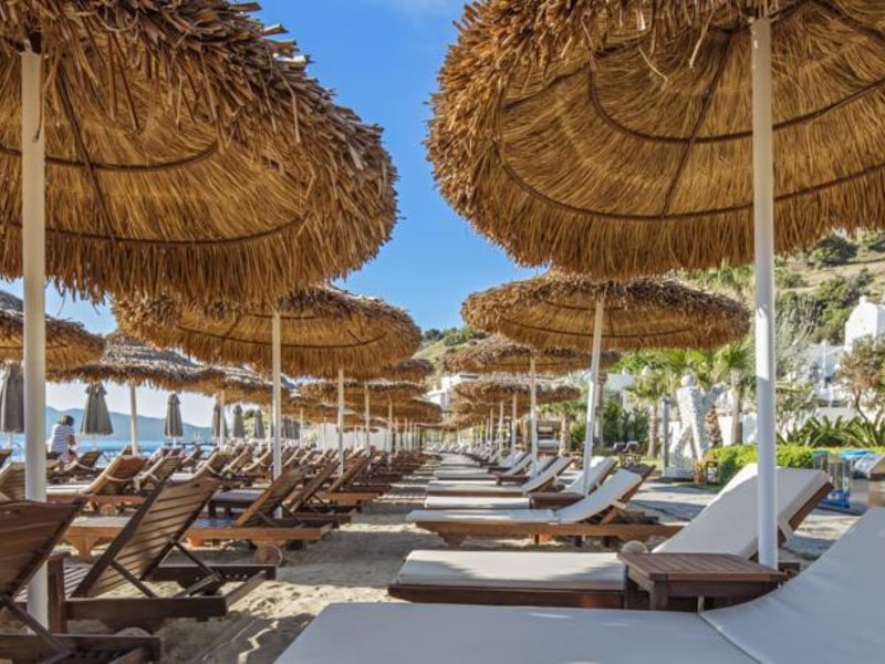 Agaya Bodrum (ex 105548