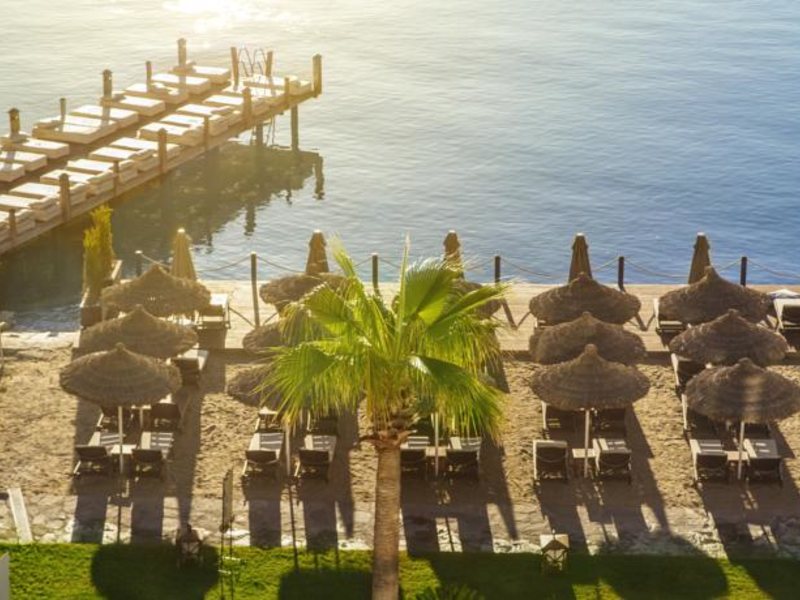 Agaya Bodrum (ex 105552
