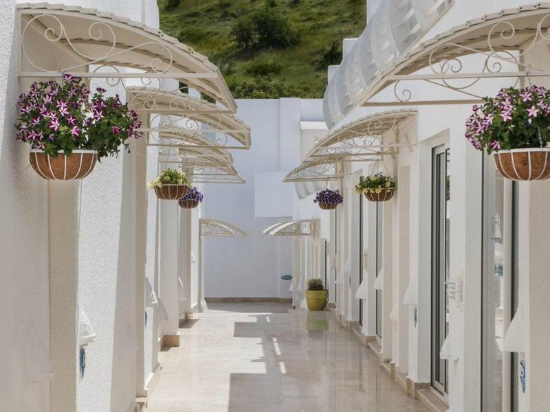 Agaya Bodrum (ex 105575