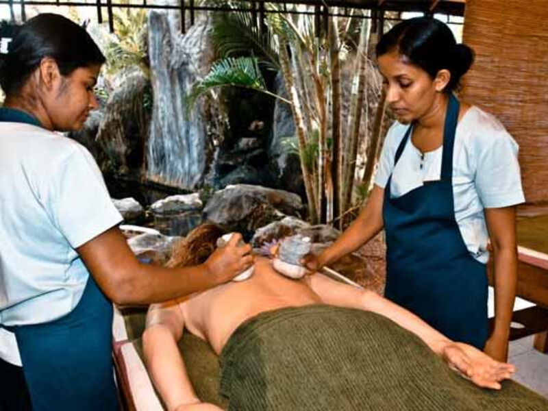 Aida Ayurveda Resort 107012