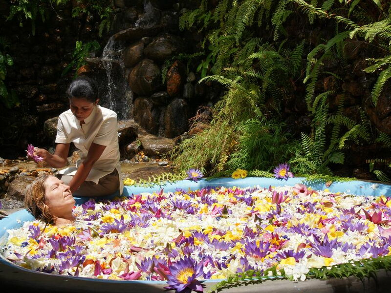 Aida Ayurveda Resort 107017