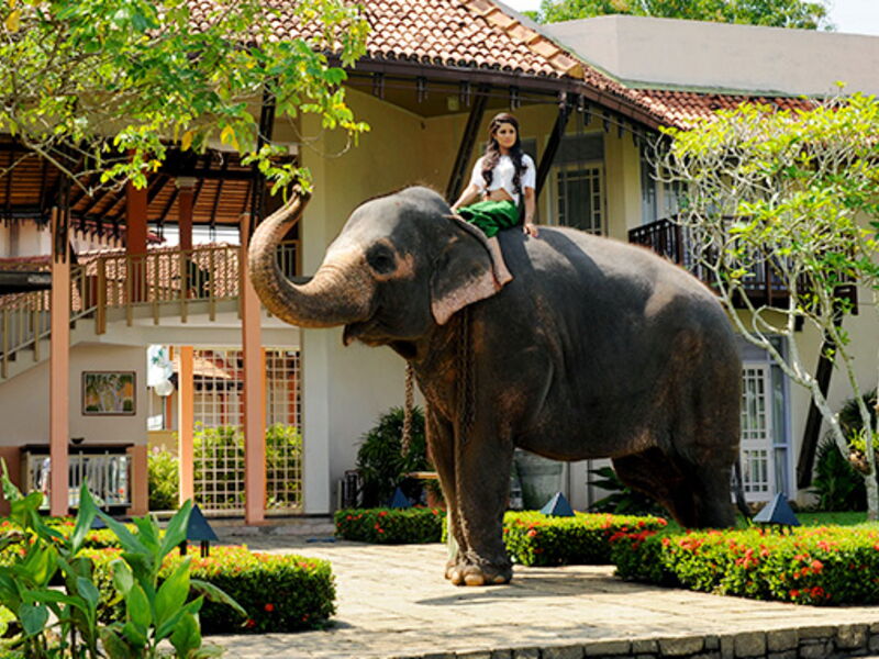 Aida Ayurveda Resort 107025
