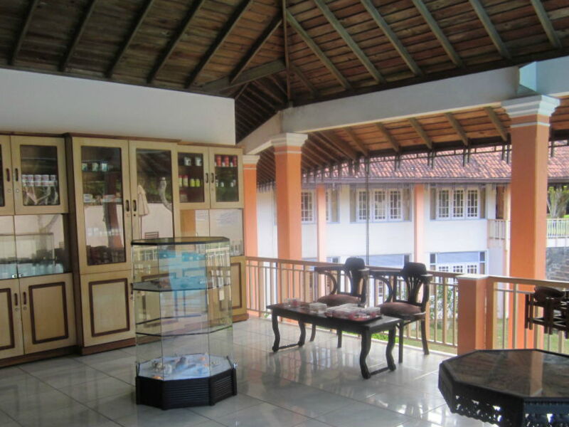 Aida Ayurveda Resort 107038