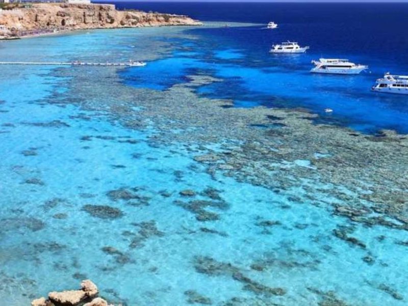 Aida Better Life Resort 121169