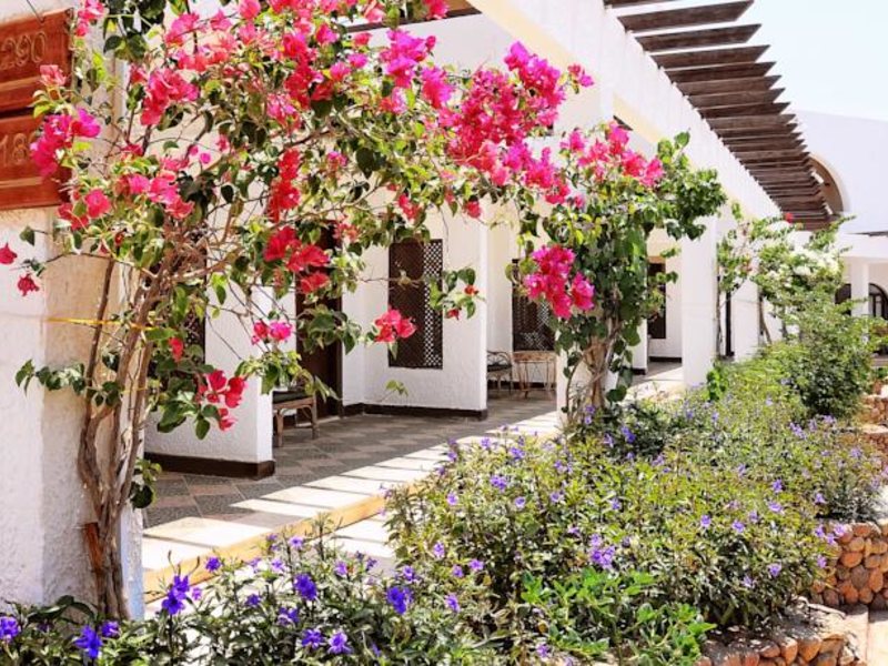 Aida Better Life Resort 121172