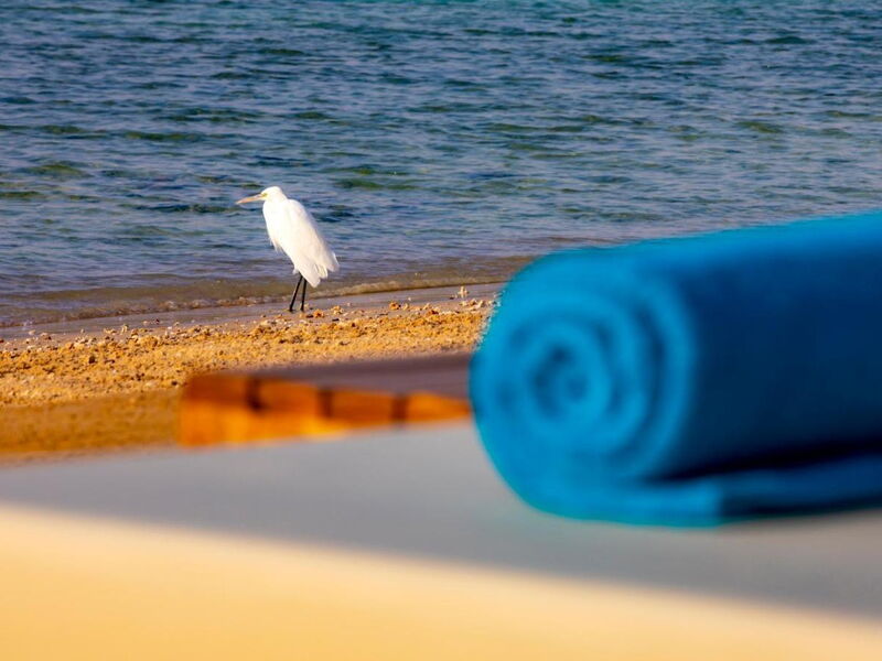 Ajira Resort Sahl Hasheesh 325919