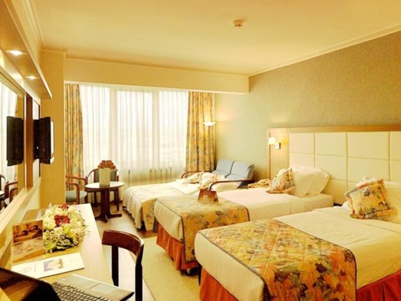 Akgun Istanbul Hotel 62189