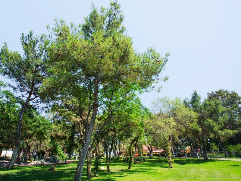 Akka Antedon Hotel (ex 157806