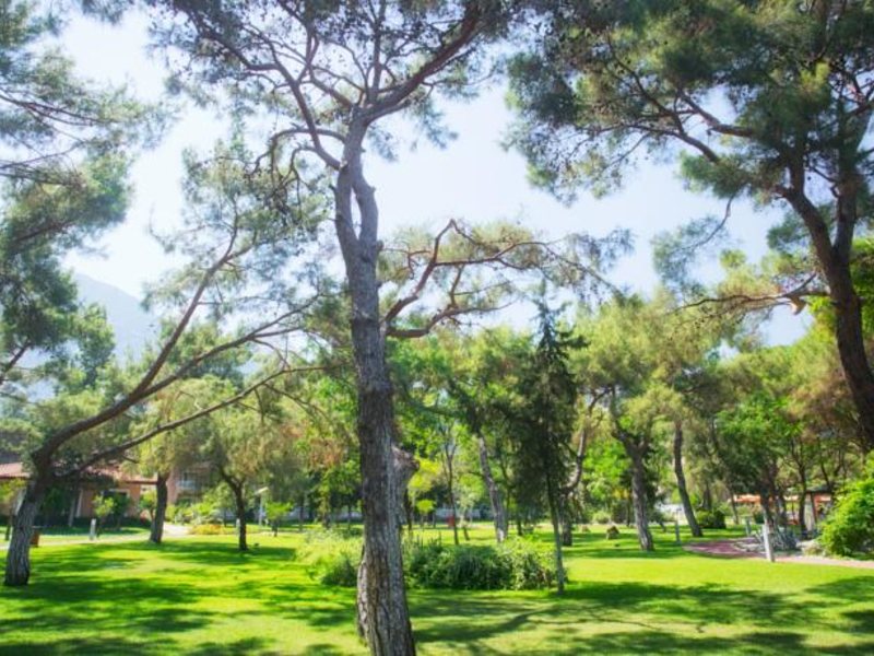 Akka Antedon Hotel (ex 157817