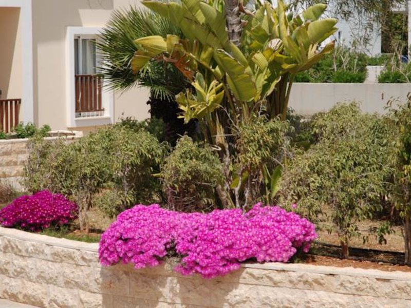 Aktea Beach Village 87244