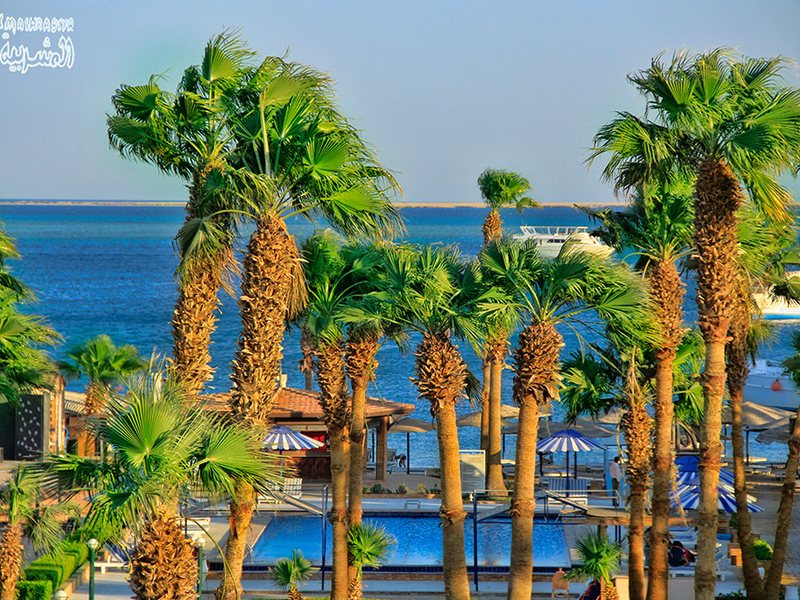 Al Mashrabiya Resort 121294