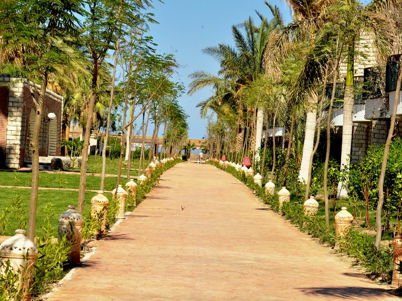 Aladdin Beach Resort 121379