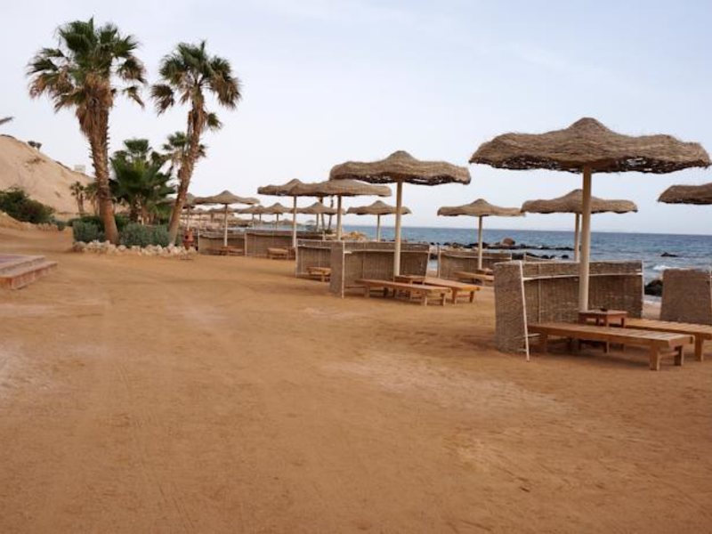 Albatros Citadel Sahl Hasheesh (ex 122246