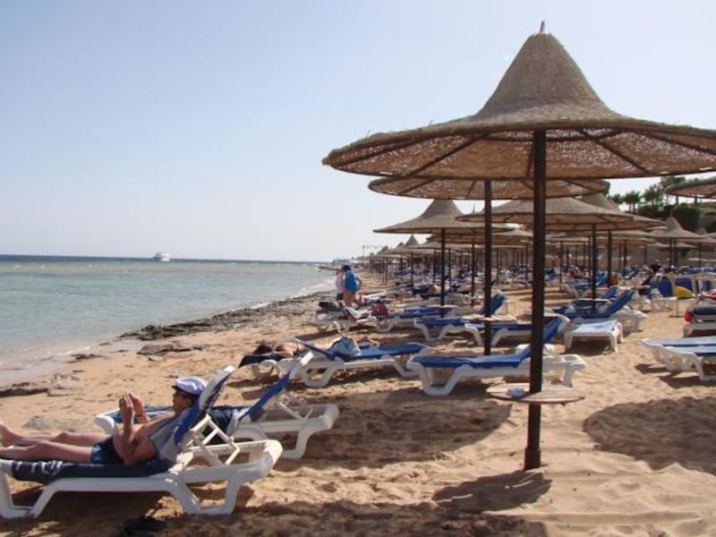Albatros Palace Resort  Sharm El-Shiekh (ex 122874