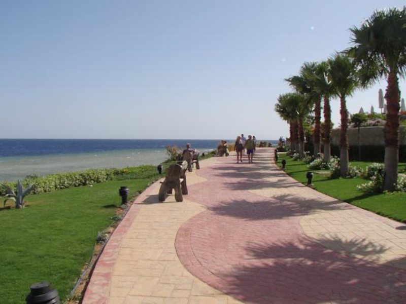 Albatros Palace Resort  Sharm El-Shiekh (ex 122876