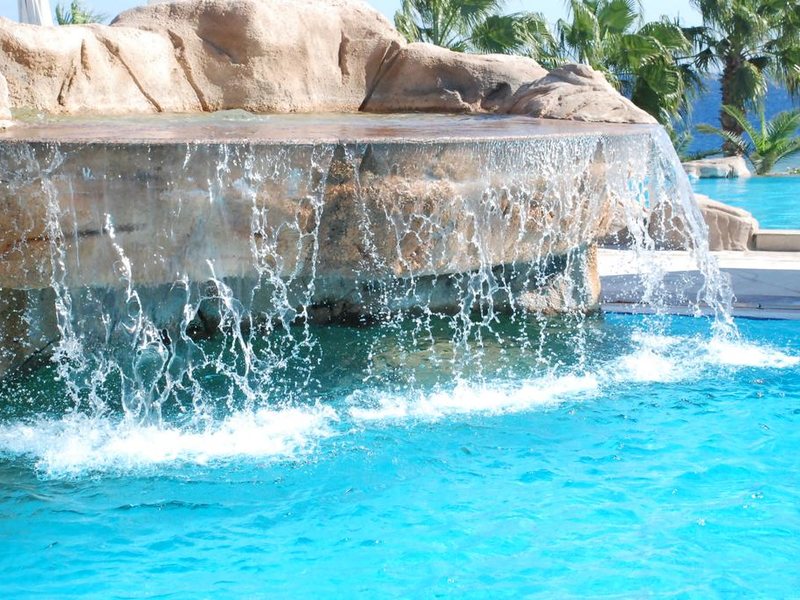 Albatros Palace Resort  Sharm El-Shiekh (ex 293436