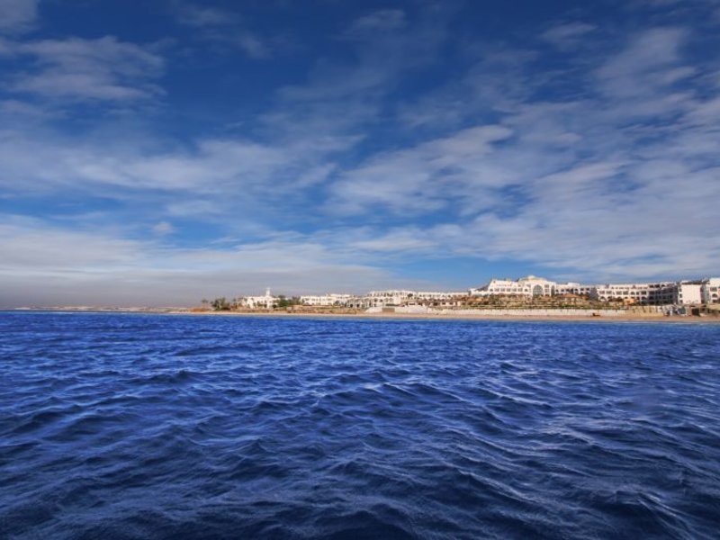 Albatros Palace Resort  Sharm El-Shiekh (ex 35072
