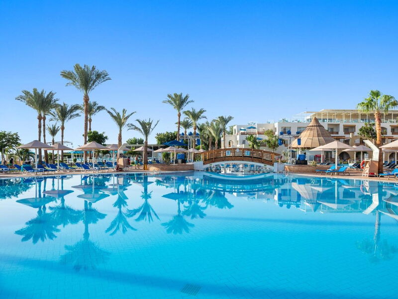 Albatros Royal Grand Sharm (Adult Only 16+) 325878